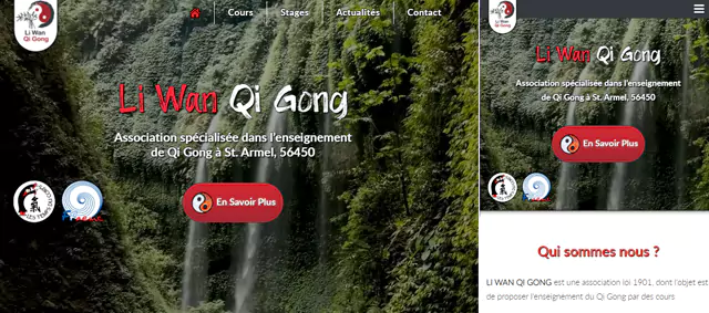Li Wan Qi Gong - aperçu du site