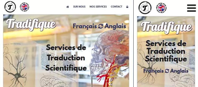 Tradifique - aperçu du site